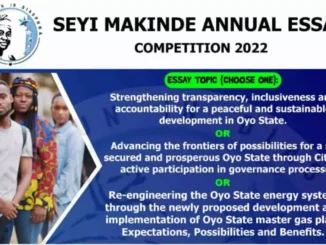 Seyi Makinde Annual Essay Competition 2022