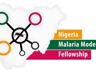 Malaria Modelling Fellowship 2024 in Nigeria (How to Apply)