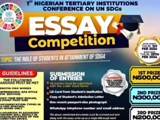 Nigeria's SDG Youth Essay Contest 2024