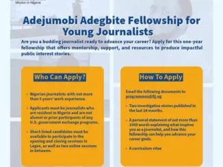 FIJ Adejumobi Adegbite Fellowship for Nigerian Journalists (2025)